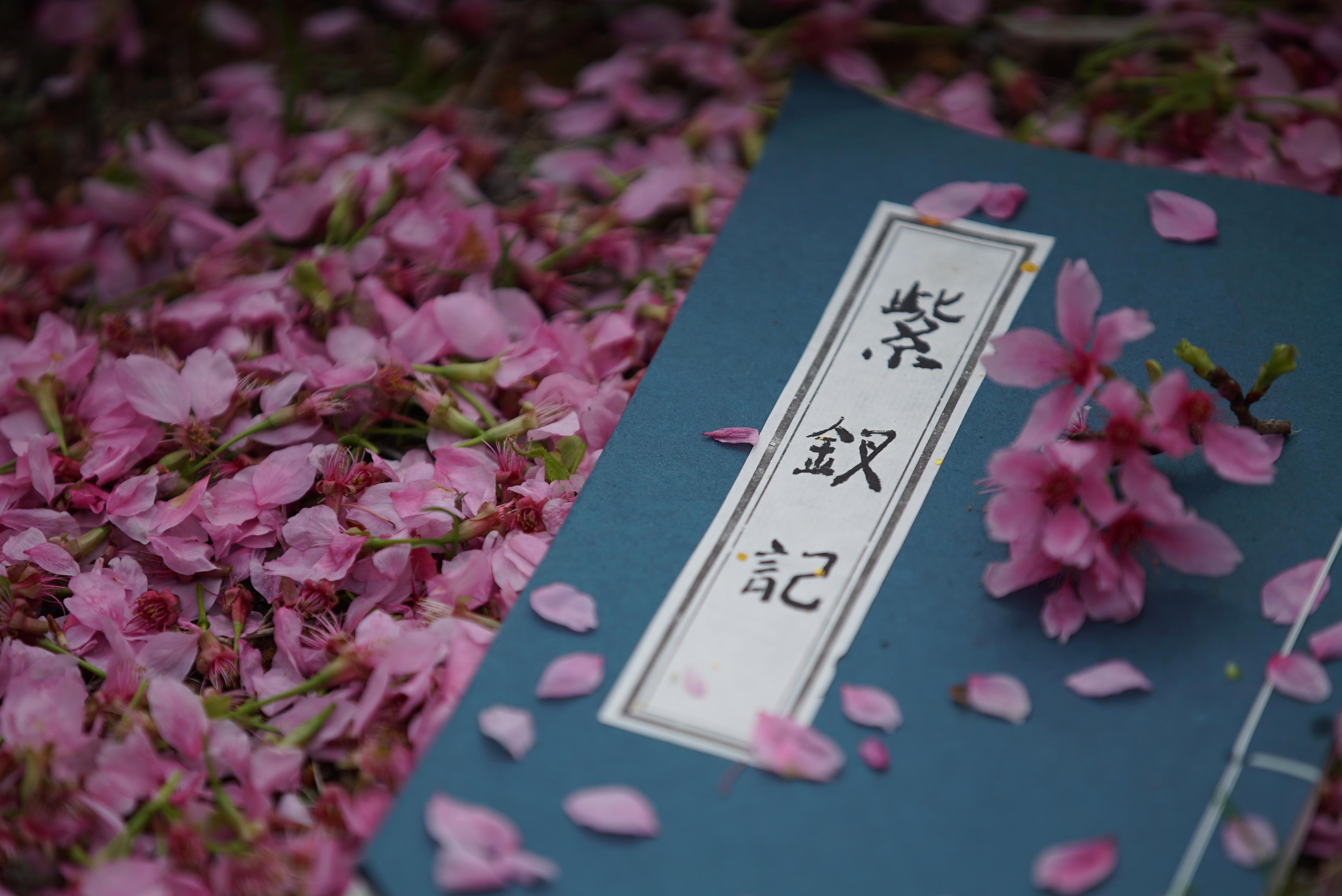 一首红了48年的粤语歌元宵节惊艳再现！广府文化大使伍燕、优秀粤剧青年演员苏临轩传承经典《紫钗记(图2)