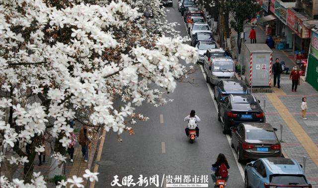 九游娱乐文化：贵阳市白云区：做足“花”文章激发文旅产业新活力(图2)
