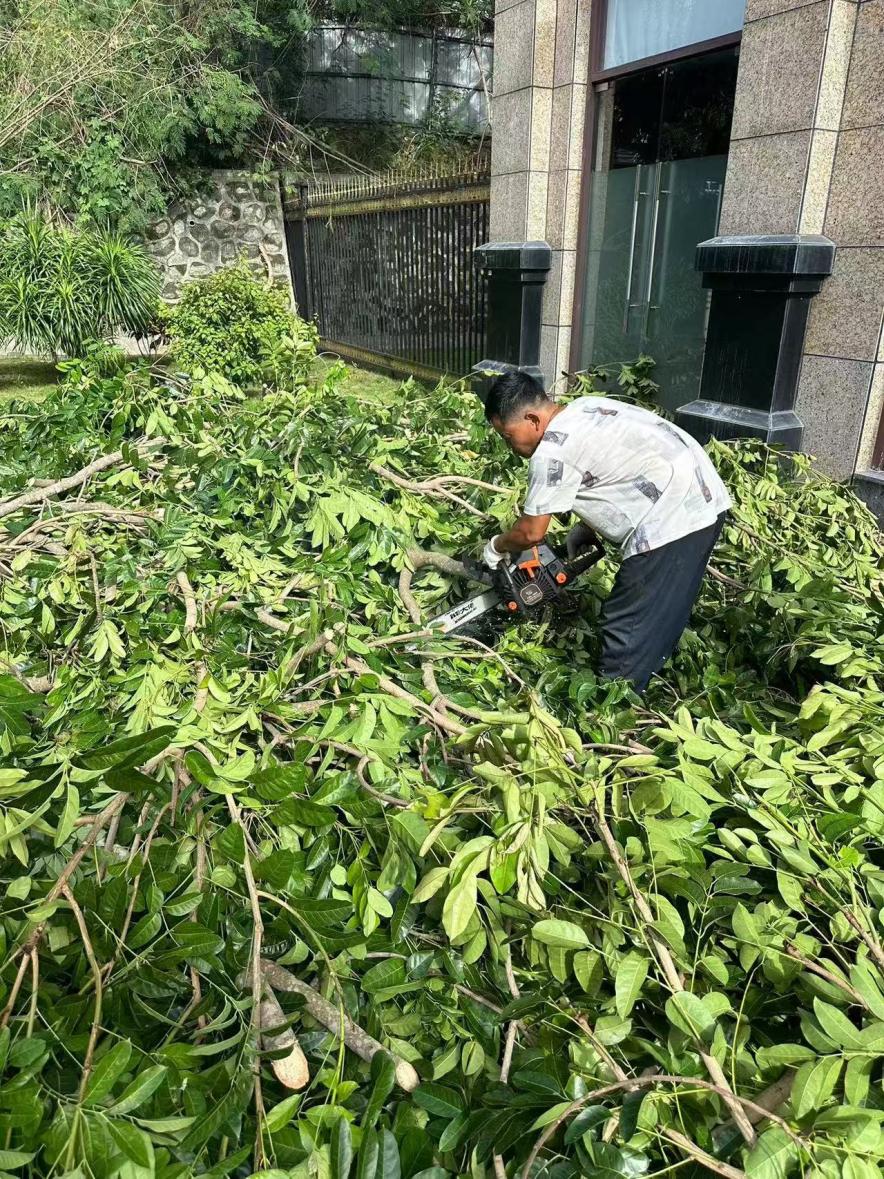 九游娱乐文化：金光集团APP(中国)林务事业部海南基地支援海南抗击超强台风“摩羯”(图2)