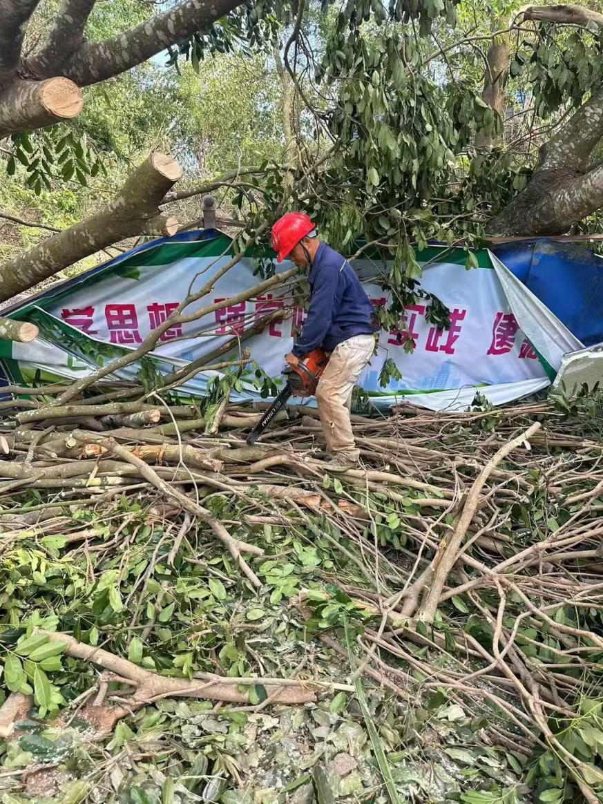 九游娱乐文化：金光集团APP(中国)林务事业部海南基地支援海南抗击超强台风“摩羯”