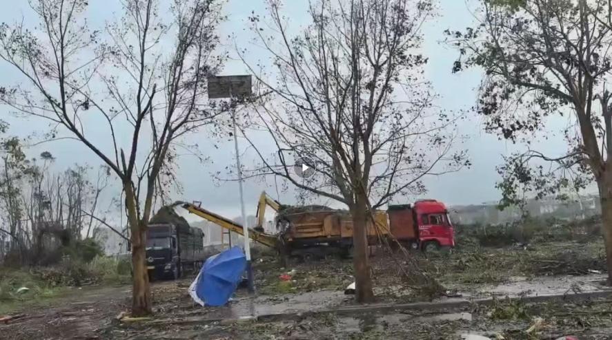 九游娱乐文化：金光集团APP(中国)林务事业部海南基地支援海南抗击超强台风“摩羯”(图3)