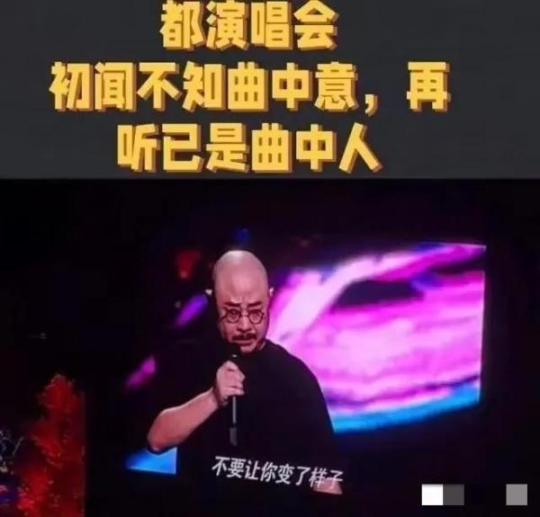 刀郎演唱会引狂欢！门票已成尽孝硬通货(图5)