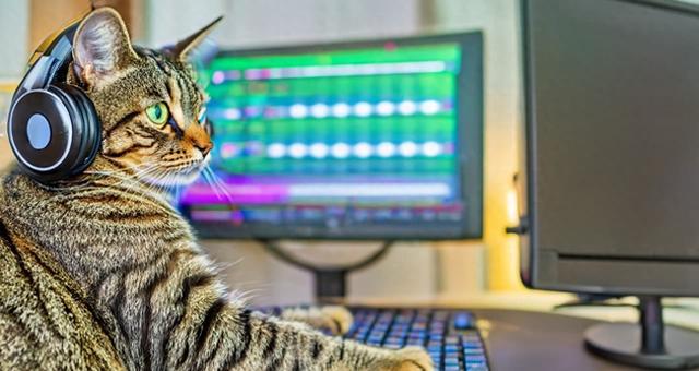 九游娱乐文化：NVIDIA展示可修改声音和生成新声音的AI模型Fugatto