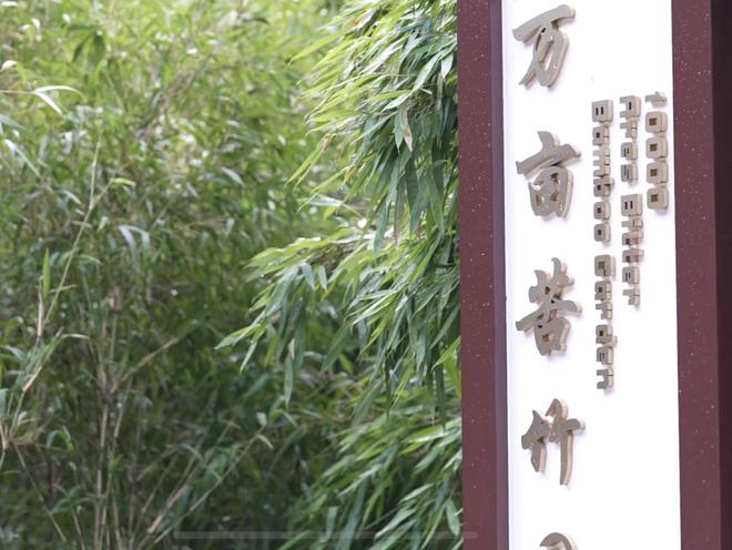 村里新来的年轻人⑬｜黄毓：“笛二代”的返乡生活(图2)