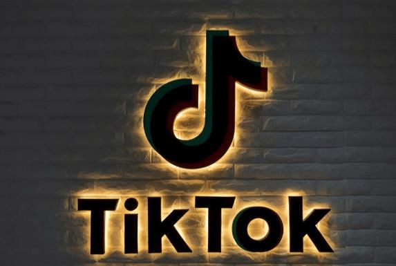 怎么申请入驻TikTok公会(图3)