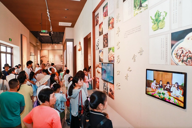九游娱乐：“5·18国际博物馆日”儋州让东坡文化绽放新彩(图3)