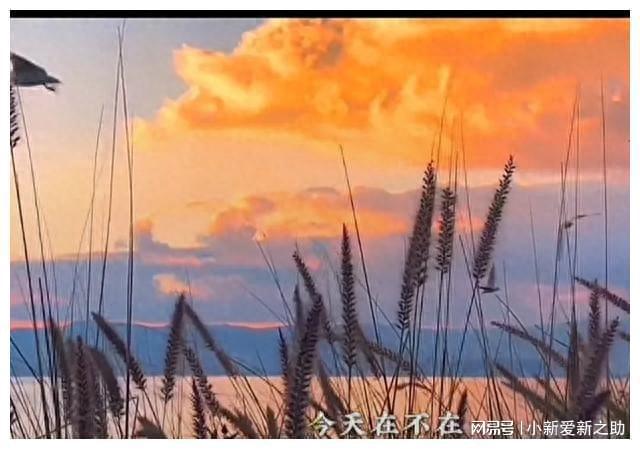 九游娱乐文化：解析！为什么苹果香的原唱没火翻唱却突然火了！