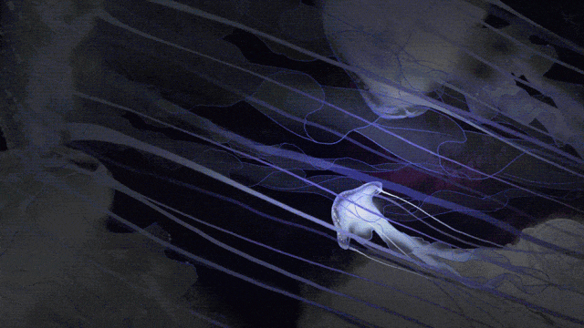 九游娱乐：沐瞳混战暑期档：全球范围内连推两款新游其中一款4天吸金1744万日流水增幅213%！(图12)