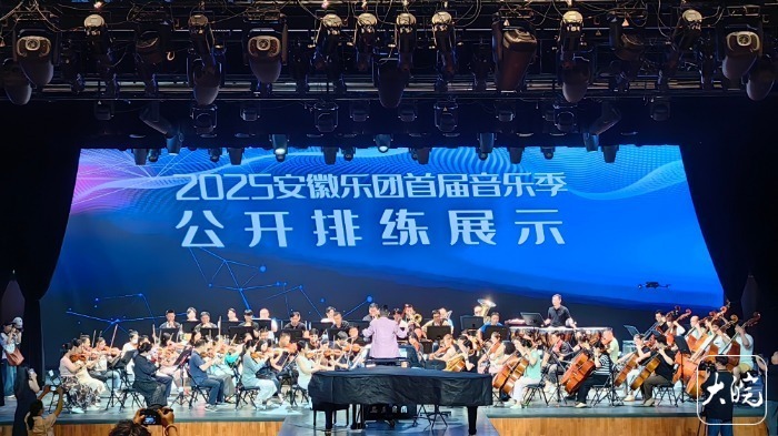 12场演出节目设计已完成！2025安徽乐团首届音乐季打造多元音乐盛宴(图2)