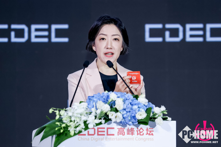 2025CDEC高峰论坛圆满召开探索发展新路径(图7)