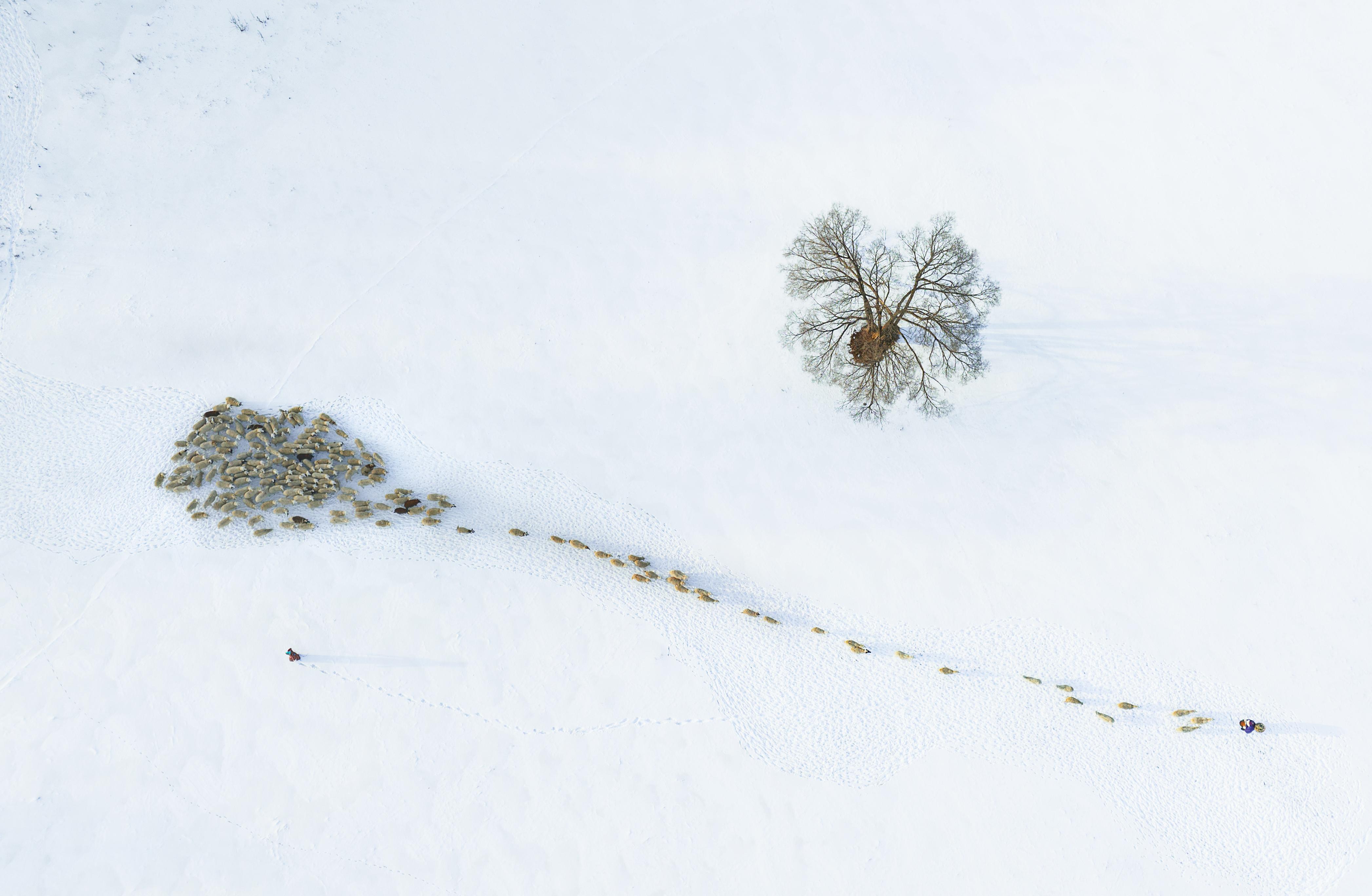九游娱乐文化：初冬新寒有朋自暖！揭阳赤峰“鱼羊”上桌啦丨小雪•文化中国行(图8)