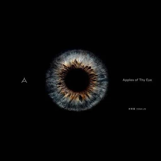 再袭!林宥嘉这家伙怎么就成了卷王？!(图2)