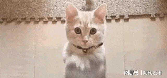 九游娱乐：71岁成龙提前安排“谢幕”告别歌也已制作担心的事还是发生(图10)