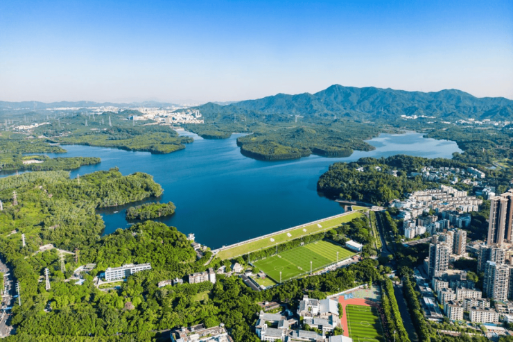 九游娱乐文化：奔万亿!南山2025年度十件大事揭晓(图6)