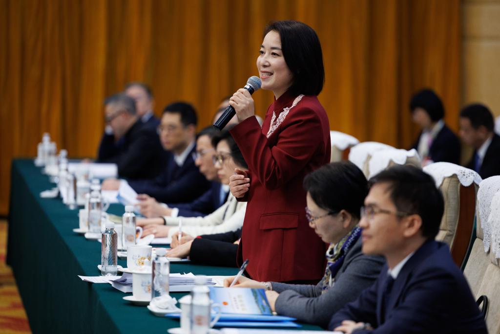 两会·影像链接丨展望“十五五”：互联网“织”梦新大众文艺舞新篇(图11)