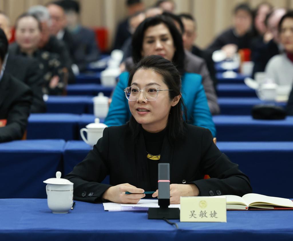 两会·影像链接丨展望“十五五”：互联网“织”梦新大众文艺舞新篇(图13)